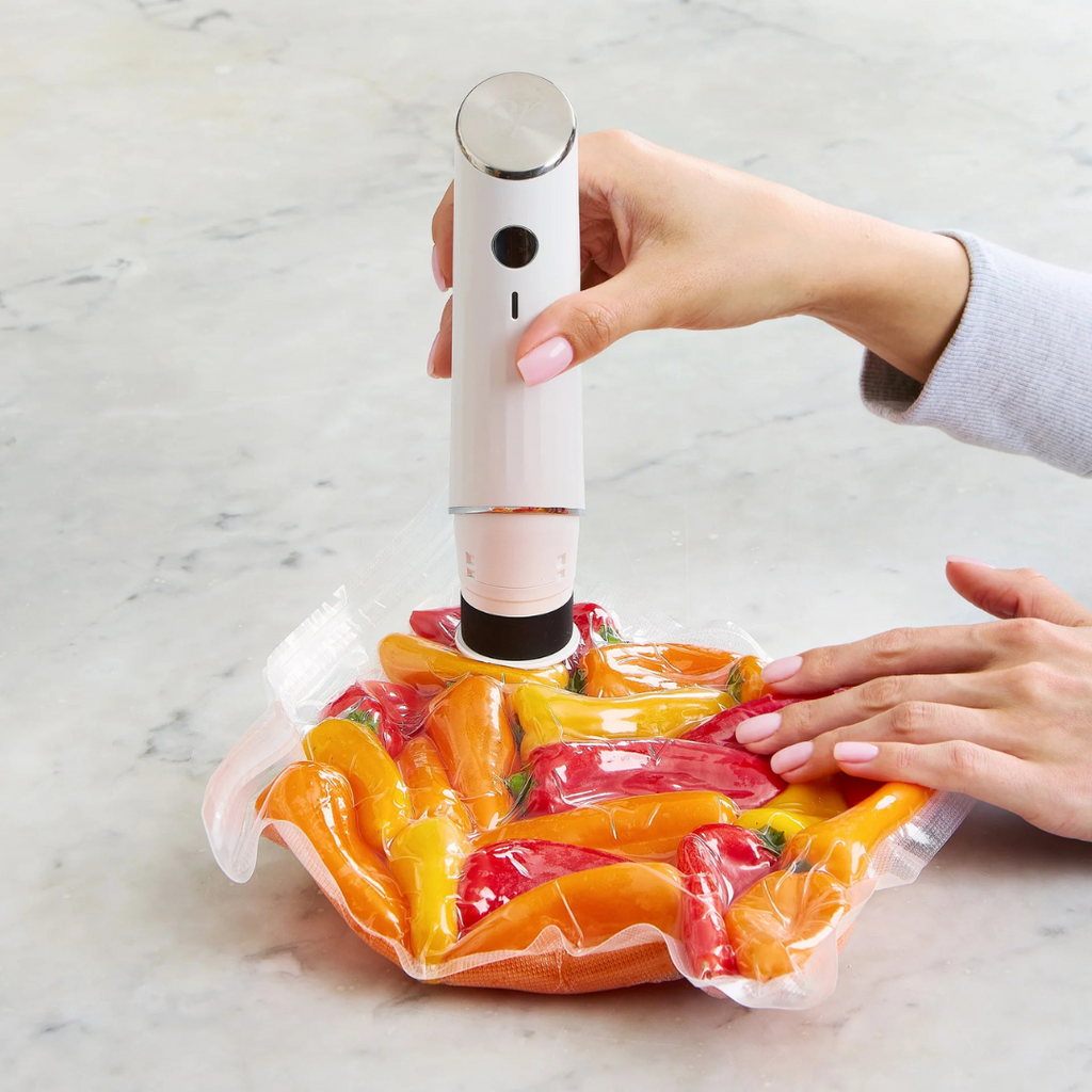 Temporary reference: reusable vacuum storage bag system